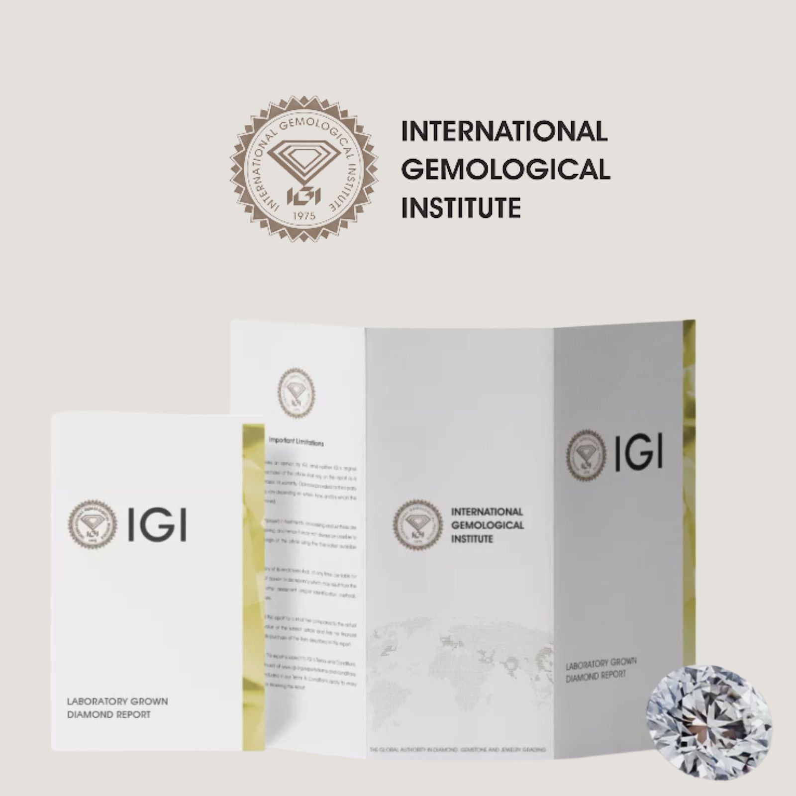 IGI diamond report with a diamond on a light background