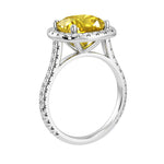 Cushion Cut Yellow Sapphire French Pave Diamond Halo bridal ring 14K White Gold designer style Pel and Co September sapphire treasure