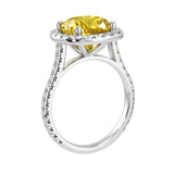 Cushion Cut Yellow Sapphire French Pave Diamond Halo bridal ring 14K White Gold designer style Pel and Co September sapphire treasure