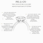Pel & Co hybrid bezel solitaire engagement ring infographic featuring blue sapphire, ruby, pink sapphire, Colombian emerald, Paraiba tourmaline gemstone