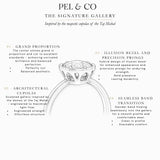 Pel & Co hybrid bezel solitaire engagement ring infographic featuring blue sapphire, ruby, pink sapphire, Colombian emerald, Paraiba tourmaline gemstone